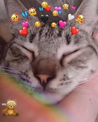 Check spelling or type a new query. Wallpaper Kucing Lucu Imut Hd