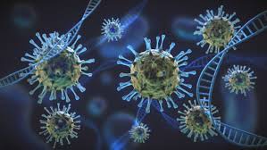 Although despite delta variant's high frequency, its transmission in india has been determined to be as of june 7, 2021, there were 63 verified delta plus genomes, according to public health england. Zksmusb3ljhhdm