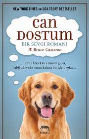 new york times bestseller listesinde tam 52 hafta kaldi kopekler hakkinda bir roman insan hayatinin en derin meselesi olan neden new york times kopek kitap