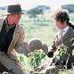Midweek Matinee: Out of Africa