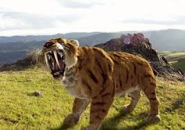 Select from 36426 printable crafts of cartoons, nature, . Mr Nussbaum Sabertooth Tiger Reading Comprehension