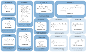 Calcium and magnesium are associated minerals, and considered essential to human health. Nutrients Free Full Text Taste Perception Of Nutrients Found In Nutritional Supplements A Review Html