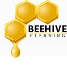 We take pride in our tile and grout cleaning services. Beehive Carpet Cleaning Carpet Cleaner Gilbert Az Projects Photos Reviews And More Porch