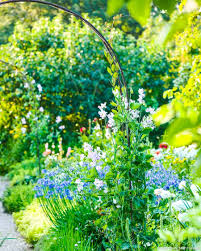 Arches Et Portiques 7 Idees Pour Embellir Votre Jardin Arche Jardin Jardins Parc Et Jardin