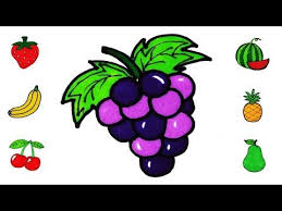 Let S Draw And Color The Fruits Meyveleri Cizelim Boyayalim Youtube Draw Color Drawings