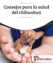 Pin En Salud