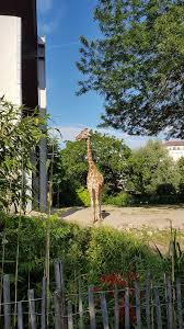 Zoologischer Stadtgarten Karlsruhe Karlsruhe Stadtgarten Garten