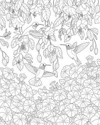 Pin By Irene Weber On Ipad Pro Art In 2020 Detailed Coloring Pages Bird Coloring Pages Mandala Coloring Pages