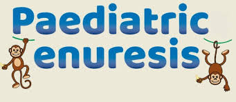 Image result for Enuresis