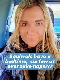 Do squirrels have a bedtime or take naps?