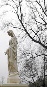 George towle, a timonium resident who attends church of the immaculate conception in towson, said he wasn't surprised this week when the church acted quickly to remove the rev. Pin On Statues Of The Virgin Mary