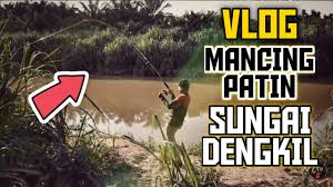 Vlog Mancing Patin Sungai Dengkil 2020 Youtube