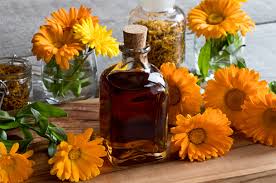 Bunga marigold adalah salah satu bunga yang indah, selain keindahannya bunga marigold memiliki berbagai manfaat untuk. Dari Sunscreen Sampai Jerawat Ini 5 Manfaat Bunga Calendula