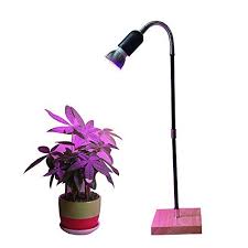 We did not find results for: Led Grow Lights Full Spectrum Led Plant Grow Lamps Desk Table Lamp For Indoor Plants Hydroponic Garden Greenho Hydroponic Gardening Led Grow Lights Grow Lamps