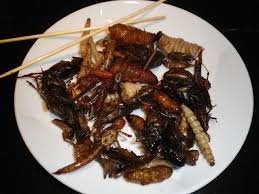 Darf ich ihnen noch etwas salat geben? Insekten Essen Eine Alternative Zu Herkommlichem Fleisch Verbraucherzentrale De