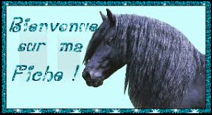 images?q=tbn:ANd9GcQIrZCocS6-Pnbo0OHQuR1