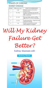 About Kidney Transplantation Kidney Disease Awareness Polycystic Kidney Disease Kidney Infection Treatment