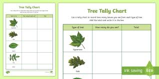 tree tally chart outdoor activity world around us ks2