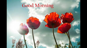 Flowers with good night wishes. Good Morning Romantic Rose Flowers Good Morning Images With Flowers Hd Youtube