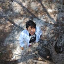 Detail gambar 99 gambar animasi sapi bergerak terlengkap cikimm com. Iki Ikimikazami Profil Pinterest