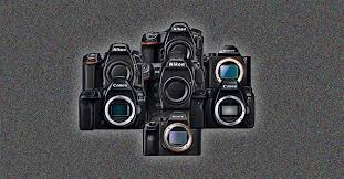 Best Full Frame Cameras Of 2021 Dslr Mirrorless Best camera, lenses & photo editing for beginner photography.