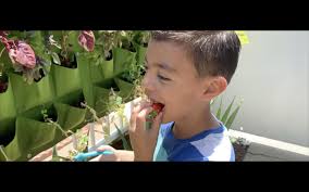 Food Medicine (Short 2020)