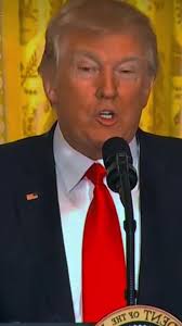 Trump 336 (@jessoifwiy3)'s videos with 原聲