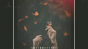 Maybe you would like to learn more about one of these? Best Assamese Whatsapp Status Video Download 2021