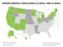 Please leave a comment below if you pay another amount and include your location. How Much Is Weed How To Roll The Best Joint In The World