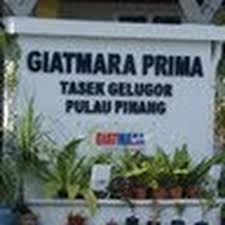 Tahniah diucapkan kepada team giat mara yang telah berjaya. Pkgm Tasek Gelugor Pongsu Seribu Youtube