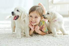 Aesc is located in andover, mn., a northern suburb of minneapolis/ st. Eye Care Clinic For Animals In Oklahoma City Ok Eye Care Clinic For Animals