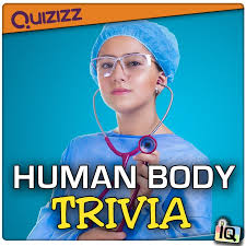 There are so many topics that could be included that there's a question for everyone! Human Body Trivia Human Anatomy Quiz Quizizz