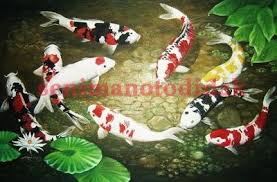 Terbaru 30 Lukisan Ikan Hias 3d Lukisan Ikan Kartun Cikimm Com Download Stiker Dinding Gambar Ikan Hiu 3d Untuk De In 2020 Christmas Ornaments Holiday Decor Decor