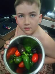 Backyard hemp farming techniques and products