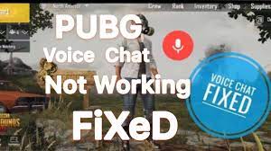 How To Fix Pubg Voice Chat Not Working Hacking And Gaming Tips
