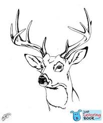 Whitetail Deer Head Coloring Pages Hunting Whitetail Deer Within Head Of Deer Coloring Pages Deer Coloring Pages Animal Coloring Pages Deer Illustration