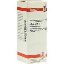 Cepa is your partner for customized educational study abroad programs in europe. Allium Cepa D 4 Dilution 20 Ml Dhu Remedies Markenshop Arzneiprivat