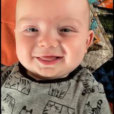 Susan Rindge Daddow (@daddowdesign) • Instagram photos and videos