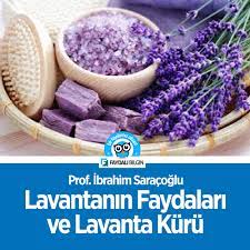 Lavantanin Faydalari Ve Lavanta Kuru Prof Ibrahim Saracoglu Lavanta Saglik Kur Bitkiselkurler Faydalibilgin Saglik Lavanta Diyet