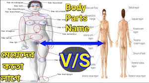 We did not find results for: Body Parts Name Human Body Parts Name English To Bangla Body Parts Name Youtube