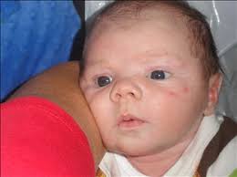 Teresa Cameron Obituary (2008)