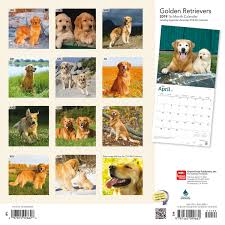 Golden Retrievers Wall Calendars Large Selection