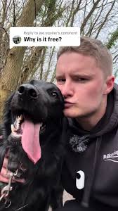 Get the Best Chance of Finding Your Pet with Free Chrome Tags