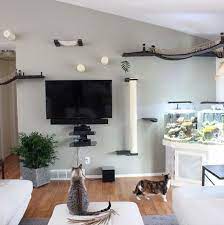 How To Make Your Apartment Cat Friendly Wildernesscat Pet Friendly Living Room Cat Room Apartment Living