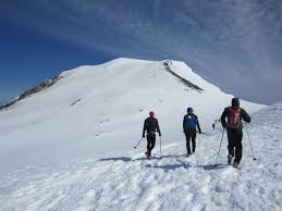 While often called a neglected mountain, this is debatable. Mount Adams South Climb Washington Trails Association