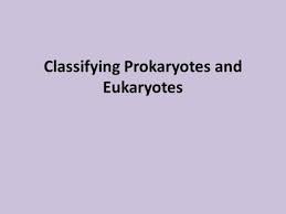 Is elodea eukaryotic or prokaryotic. Organism 1 Elodea Elodea Canadensis Domain Eukarya Kingdom Plantae Characteristics Shared By All Organisms Within Plantae Plants Eukaryotes Photosynthesis Ppt Download
