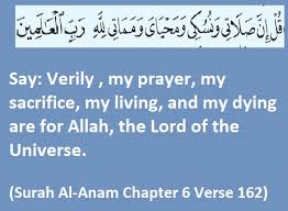 Membaca al quran mudah di tokopedia katakanlah, allah, dia menjadi saksi antara aku dan kamu. Ibrahim Online Surah Al Anam Chapter 6 Verse 162