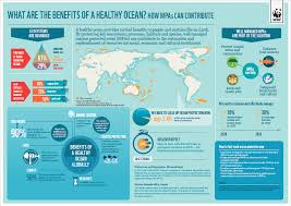 Home Fishing Infographics Fishingmemes Fishingquotes Fishinginfographics Fishinfographic Fishinglines Oceans Of The World Infographic Ocean Day