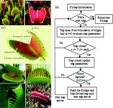biclustering using venus flytrap optimization algorithm