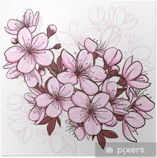 Poster Cerisiers En Fleur Pixers Nous Vivons Pour Changer Dessin De Fleurs Au Crayon Fleur De Cerisier Dessin Fleur De Cerisier